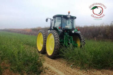 stĺpovité ovocné stromy duo-V mini ovocné kríky Poľsko