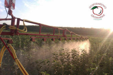 stĺpovité ovocné stromy duo-V mini ovocné kríky Poľsko